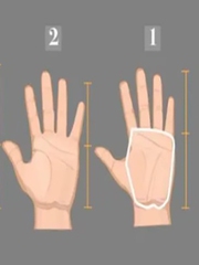 Quiz: Hình dạng lòng bàn tay tiết lộ nhiều bí mật về tính cách bạn