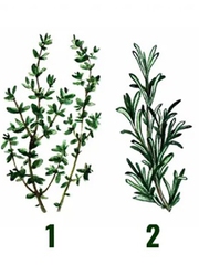 Quiz: Đặc điểm nổi bật của bạn là lòng dũng cảm hay sự khôn ngoan