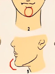 Quiz: Bạn mạnh mẽ, thông minh hay kín đáo?