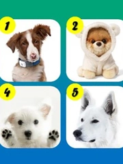 Quiz: Bạn cá tính hay là người điềm tĩnh, chu đáo?