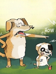 Hết 'con nhà người ta' lại đến... chó nhà người ta