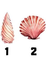 Quiz: Bạn là người có trách nhiệm và ngăn nắp?