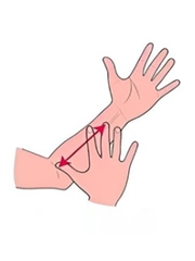 Quiz: Bạn có tố chất của một nhà lãnh đạo bẩm sinh?