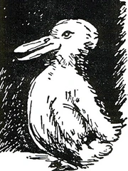 Quiz: Bạn năng động, cởi mở hay là người làm việc cẩn thận?