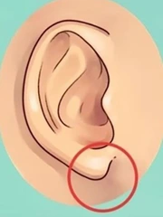 Quiz: Hình dạng dái tai tiết lộ gì về tính cách của bạn?