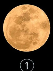 Quiz: Tình hình tài chính sắp tới của bạn sẽ thế nào?