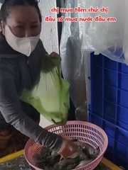 'Chị mua tôm chứ không mua nước em ơi'