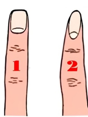 Quiz: Hình dạng ngón trỏ tiết lộ gì về con người bạn
