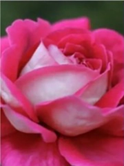 Quiz: Điều gì làm nên sự độc đáo của bạn?