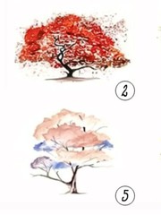 Quiz: Bạn quyến rũ, chân thành hay thông minh, điềm đạm