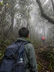 Vì sao hay nói người thất lạc khi leo núi, đi rừng 'bị dẫn'?