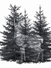 Quiz: Bạn là người đáng tin cậy, tốt bụng và dịu dàng?