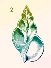 Quiz: Bạn sở hữu tố chất lãnh đạo bẩm sinh?