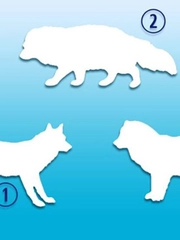 Quiz: Bạn sở hữu tâm hồn lãng mạn hay là người mạnh mẽ?