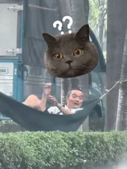 Đang ngủ trưa thì gặp ngay 'cơn mưa ngang qua'