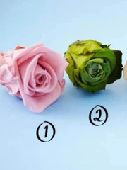 Quiz: Bạn đối diện với áp lực như thế nào?