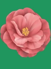 Quiz: Bạn sở hữu phong cách lãnh đạo linh hoạt hay sẵn sàng đổi mới?