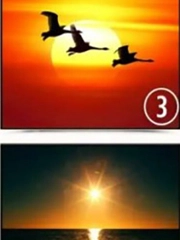 Quiz: Bạn chân thành, sáng tạo hay là người vui vẻ, nhiệt tình?