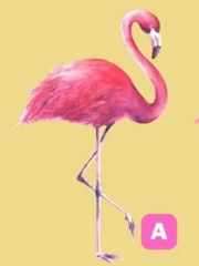 Quiz: Bạn khiêm tốn hay tự tin, quyết đoán?