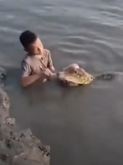 Thực hư clip cậu bé đánh răng cho cá sấu đang viral