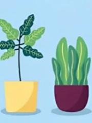 Quiz: Bạn tràn đầy năng lượng và luôn sống với tinh thần tích cực?