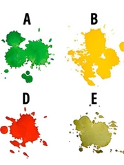 Quiz: Bạn năng động và quyết đoán?