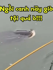 Cần thủ nổi quạu vì bị cá trêu ngươi