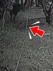 Cần thủ rơi xuống hồ vì bị... 'Lamborghini' dí