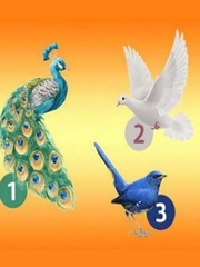 Quiz: Bạn sắp đón nhận tin vui gì?