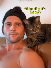 Những chú mèo 'dính ông chủ như sam'