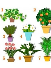 Quiz: Bạn có tài năng tiềm ẩn nào?