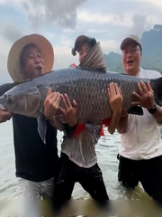 Câu được cá trắm đen khủng, cần thủ không bắt mà thả lại sông