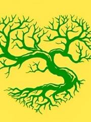 Quiz: Bạn là người bao dung, dễ tha thứ?