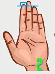 Quiz: Bạn có tố chất lãnh đạo hay là người tính cách ôn hòa?