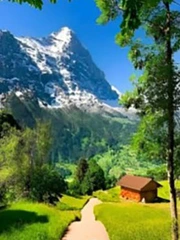 Quiz: Bạn nổi bật phẩm chất gì?