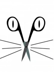 Quiz: Bạn đang trải qua khoảng thời gian hạnh phúc trong tình yêu?