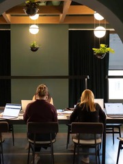 Công ty thưởng tiền để nhân viên lên văn phòng làm việc