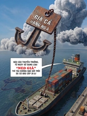 Neo giá ăn lời bền vững, xăng dầu giảm cũng mặc kệ