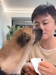 Ông chủ ngơ ngác trước sự thông minh của chó cưng