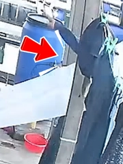Hai anh trai cười như được mùa khi thấy đồng nghiệp ngã nhào xuống sông