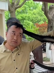 Ông chú có màn đáp trả hài hước khi bị khỉ nắm đầu