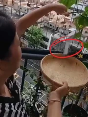 Sau 3 tháng chăm sóc cuối cùng cũng được gặt hái thành quả