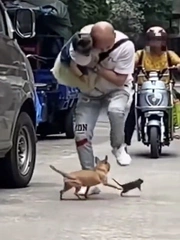 Quân ta giẫm trúng quân mình