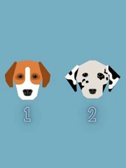 Quiz: Bạn luôn giữ thái độ ôn hòa?