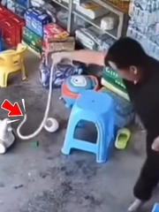 Ông chú tóm gọn 'bé Na' bằng tay không siêu đỉnh