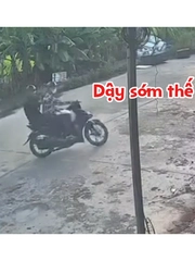 Anh chủ cứu chú chó nhỏ của mình như thế nào?