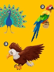 Quiz: Bạn bản lĩnh hay là người hướng ngoại?