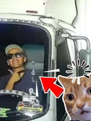 Anh tài xế 'lì đòn'