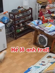 Cậu chủ mừng như bắt được vàng khi thấy chó cưng 'mất tích' trở về