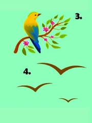 Quiz: Bạn khiêm tốn hay là người tự cao?